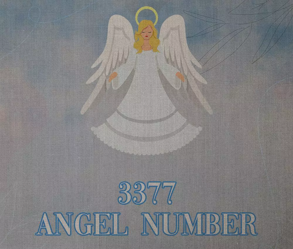 3377 Angel Number