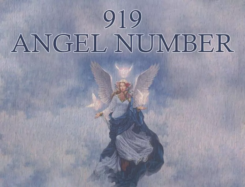 919 Angel Number