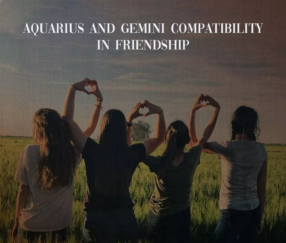 Aquarius and Gemini Compatibility in Friendship 
