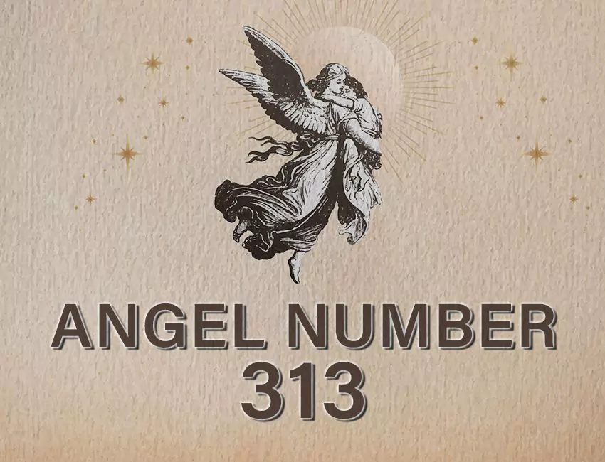 313 Angel Number