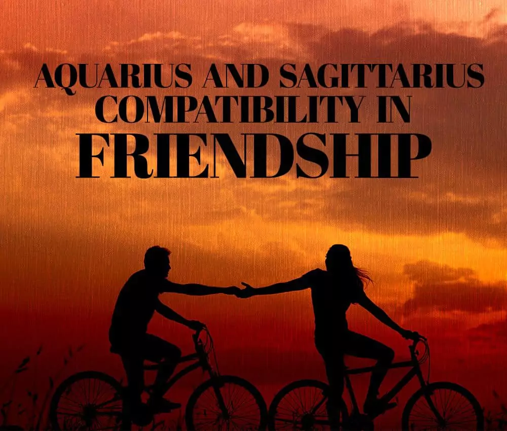 Aquarius and Sagittarius Compatibility in Friendship