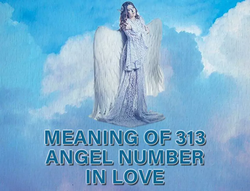 Meaning of 313 Angel Number in Love