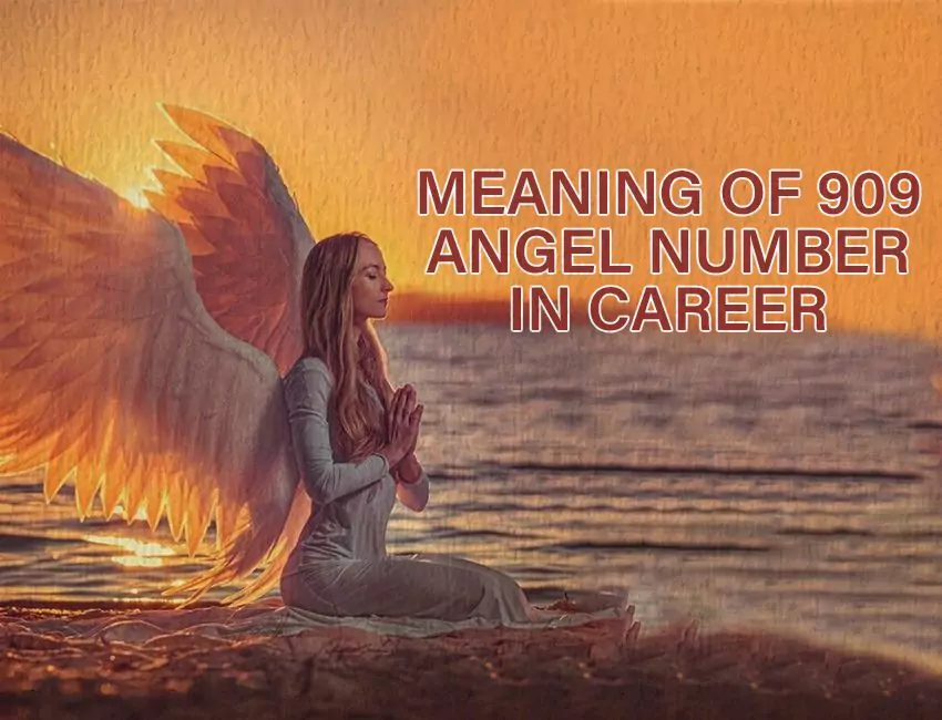 Meaning of 909 Angel Number in Career