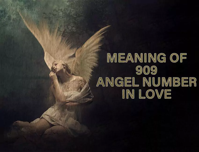 Meaning of 909 Angel Number in Love