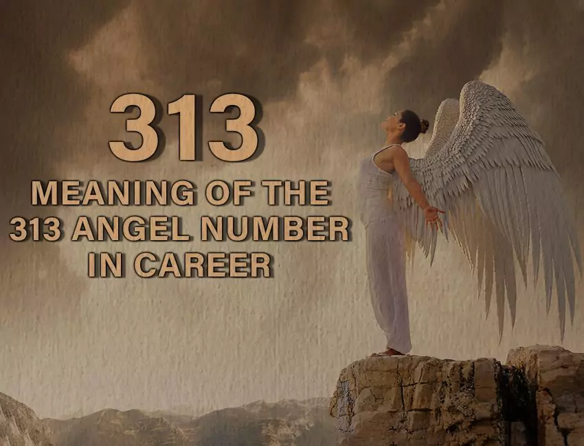 Meaning of 313 Angel Number in Love