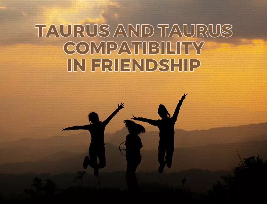 Taurus and Taurus Compatibility in Friendship