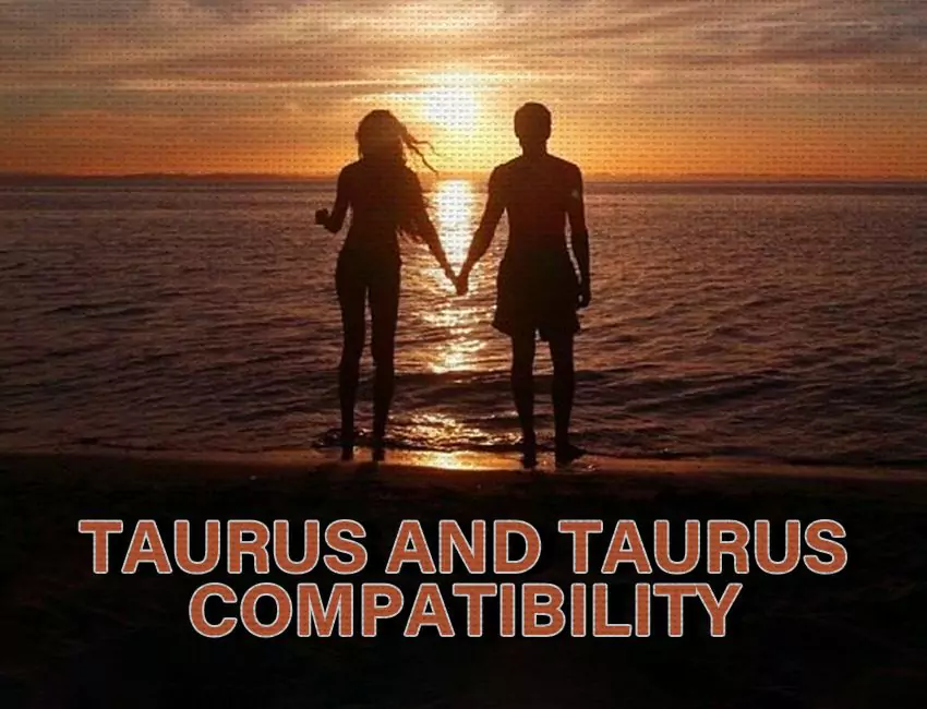 Taurus and Taurus Compatibility