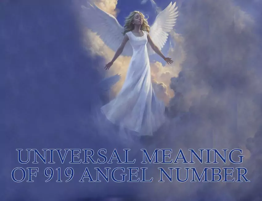 Universal Meaning of 919 Angel Number