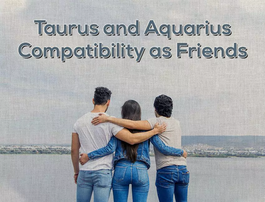 Taurus and Aquarius Compatibility as Friends