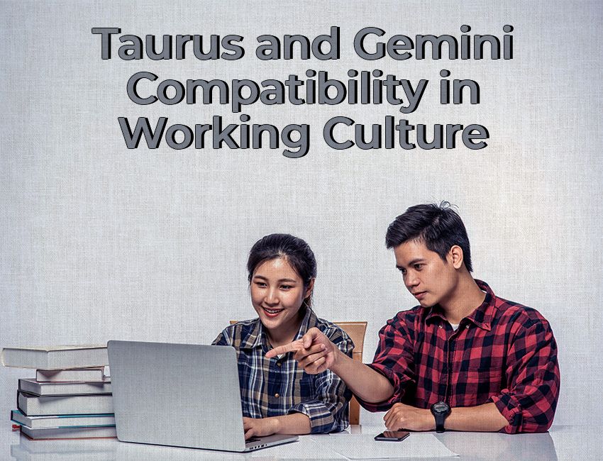 Taurus and Gemini Compatibility in Working Culture