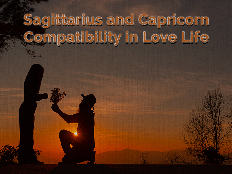 SAGITTARIUS AND CAPRICORN COMPATIBILITY IN LOVE LIFE
