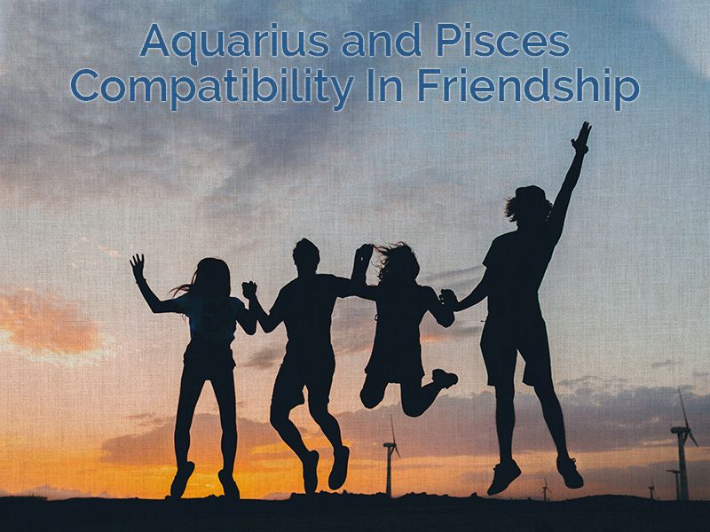 aquarius and pisces compatibility in friendship 1