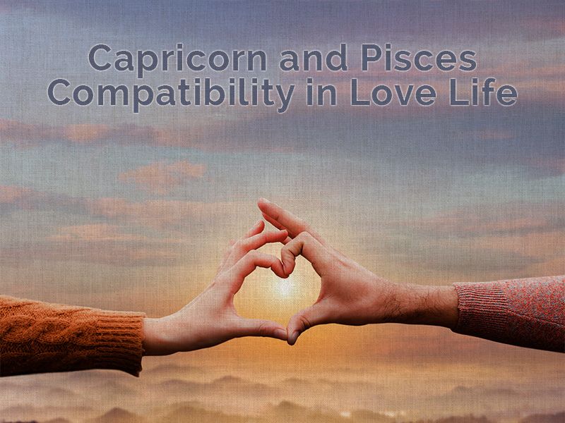 capricorn and pisces compatibility in love life