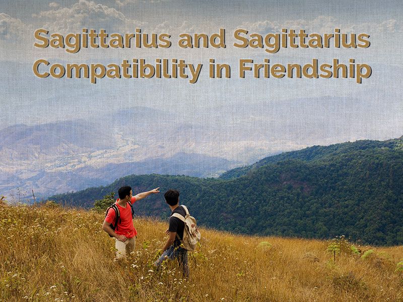 sagittarius and sagittarius compatibility in friendship