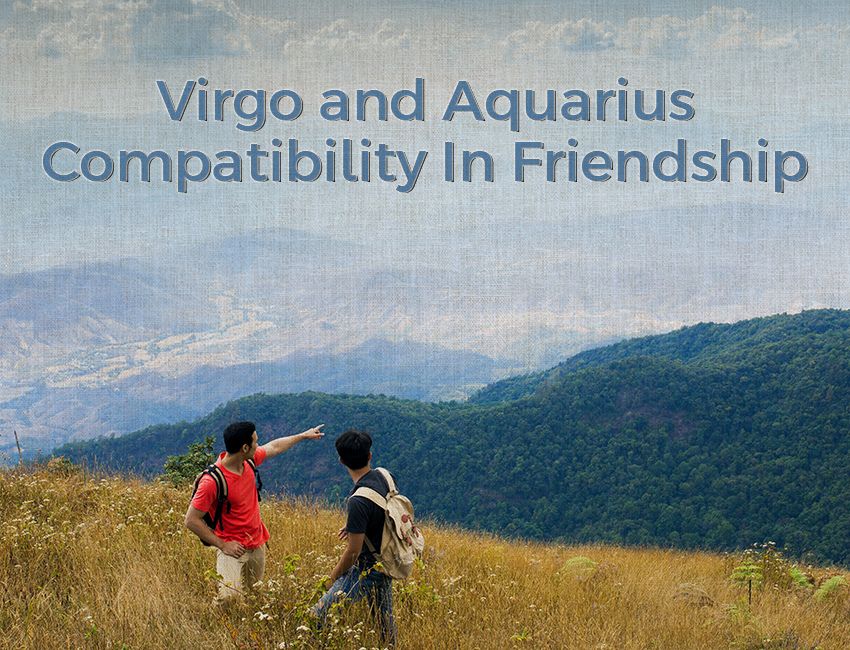 Virgo and Aquarius Compatibility In Friendship