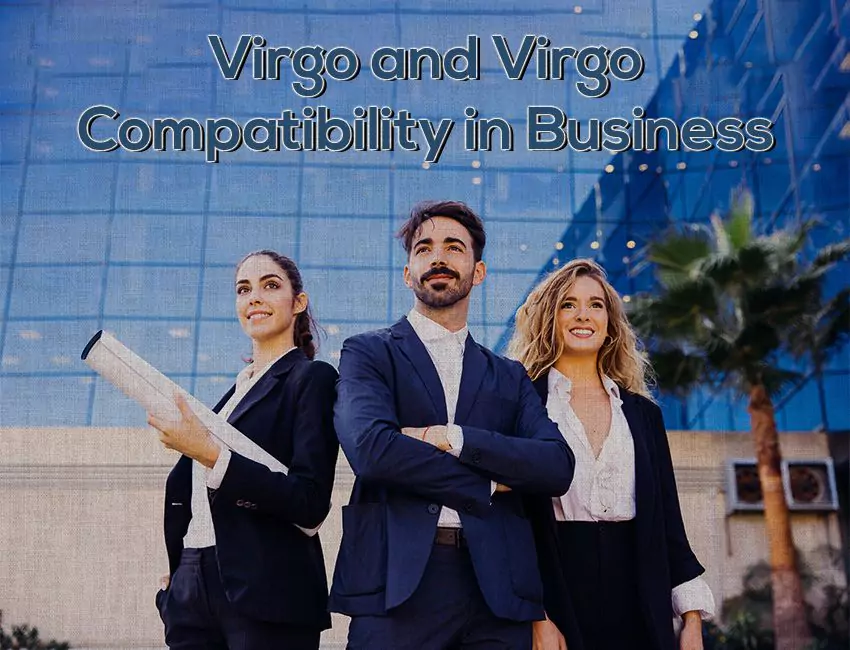 Virgo and Virgo Compatibility in Business