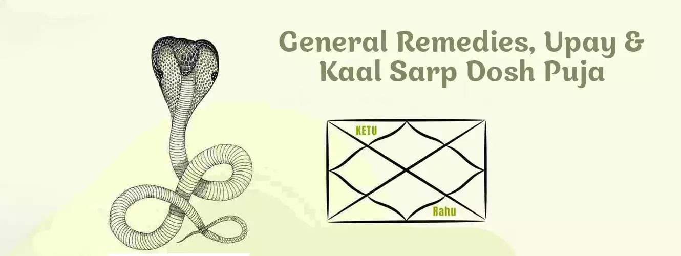General Remedies, Upay & Kaal Sarp Dosh Puja