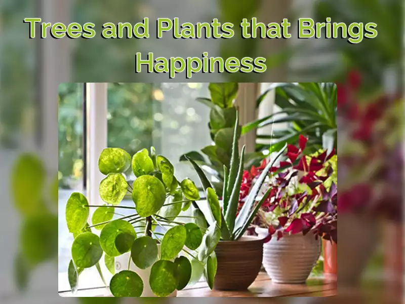 Trees and Plants that Brings Happiness