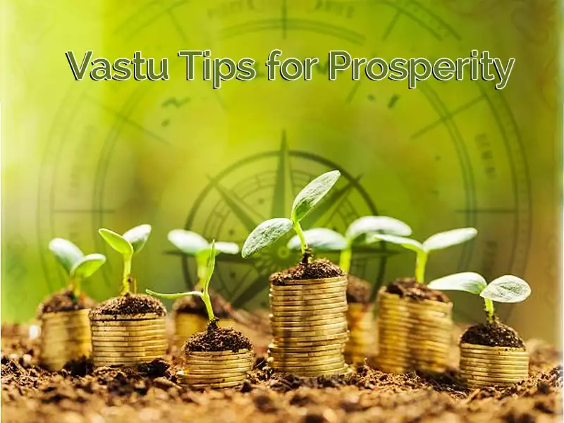 Vastu for Prosperity