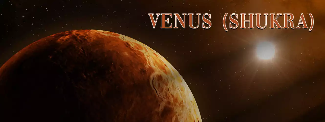 Venus 02