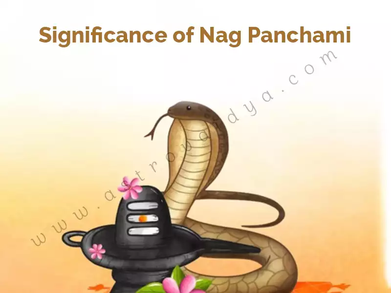 Significance of Nag Panchami