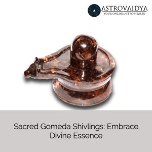 Sacred Gomeda Shivling