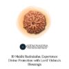 10 Mukhi Rudraksha