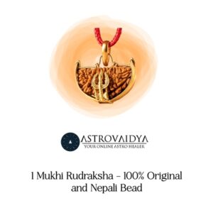 1 Mukhi Rudraksha