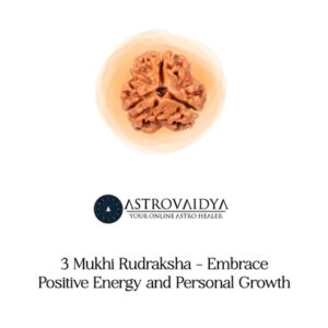 3 Mukhi Rudraksha