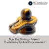 Tiger Eye Shivling