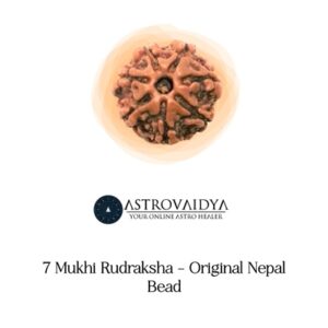 7 MUKHI RUDRAKSHA