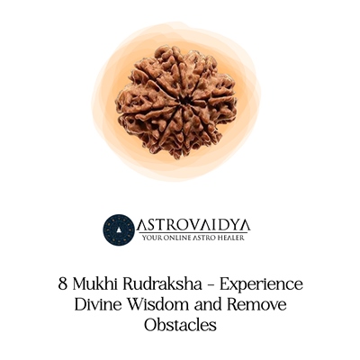 8 Mukhi Rudraksha