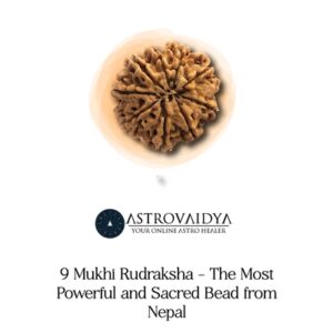 9 Mukhi Rudraksha