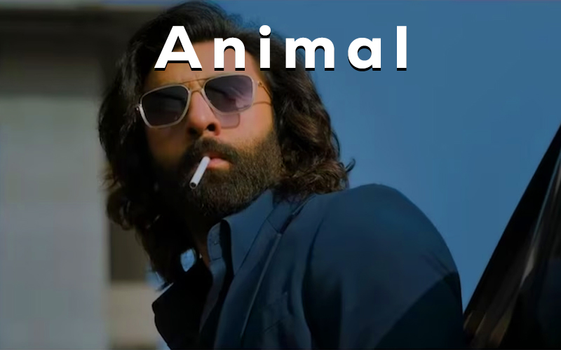 Animal