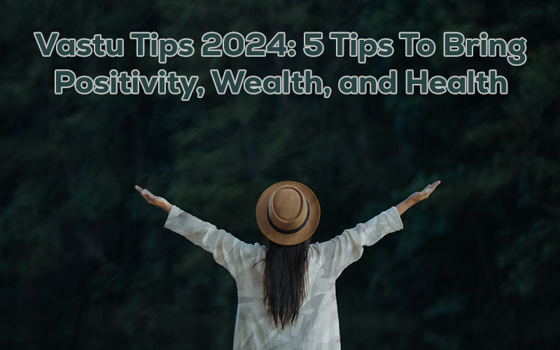 Vastu Tips 2024: 5 Tips To Bring Positivity, Wealth, and Health