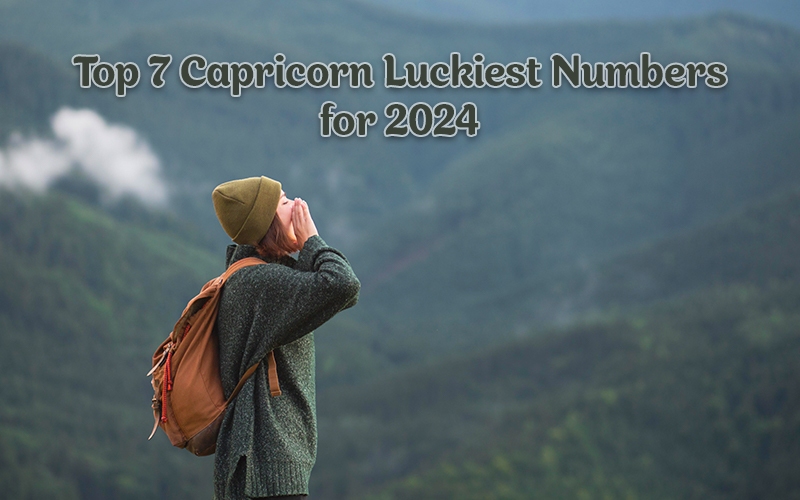 Capricorn Lucky Number
