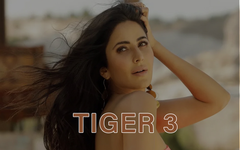 Katrina Kaif Tiger 3